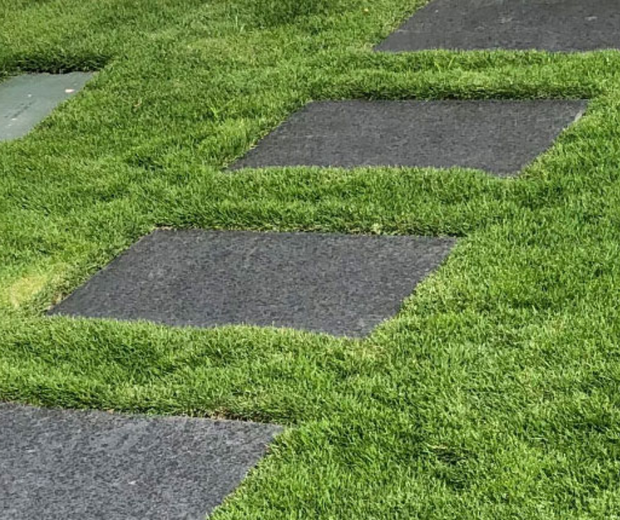Roll On Grass